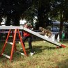 foire-haricots 2011-09-17et18